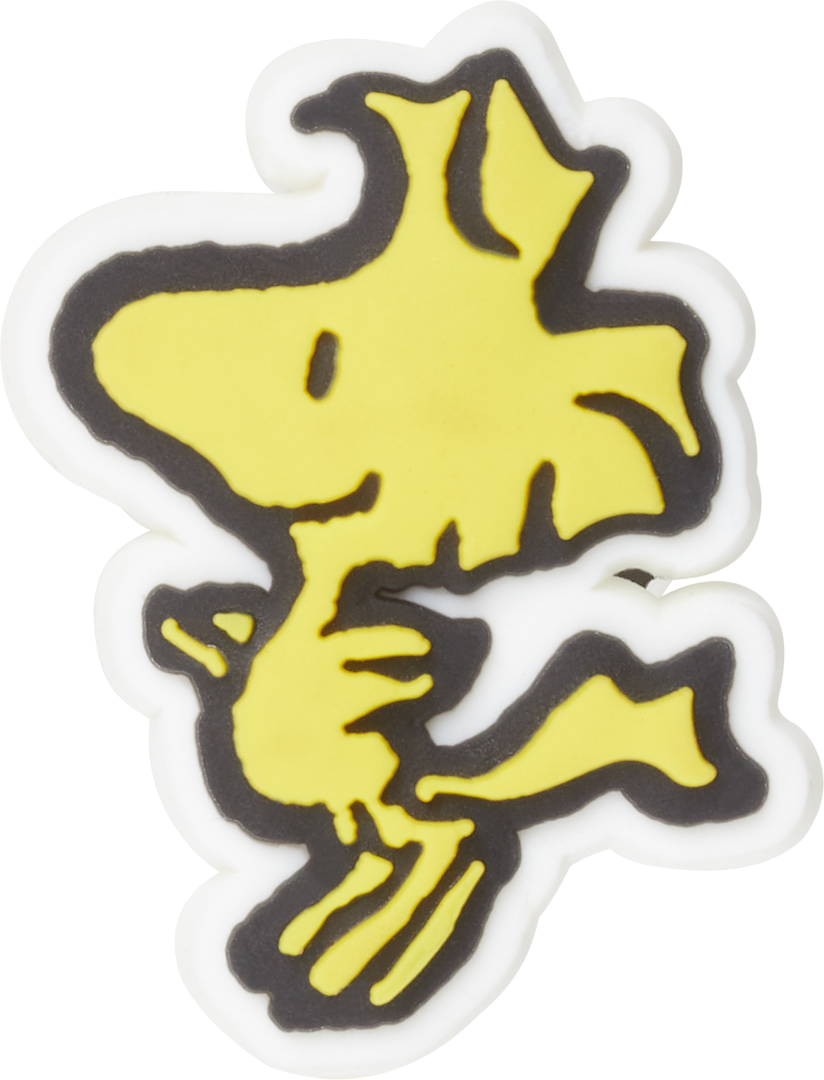Jibbitz_custom