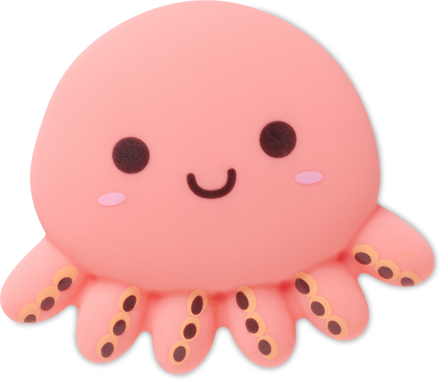 Jibbitz_customizable