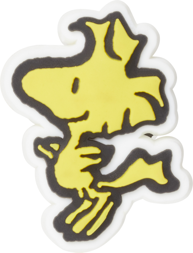 Jibbitz_custom 