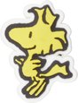 Jibbitz_custom 