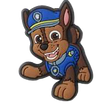 Jibbitz_custom