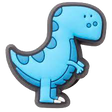Jibbitz_custom