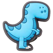 Jibbitz_custom