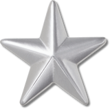 JIBBITZ SILVER STAR BADGE