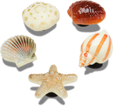 JIBBITZ She Sells Seashells 5 Pack