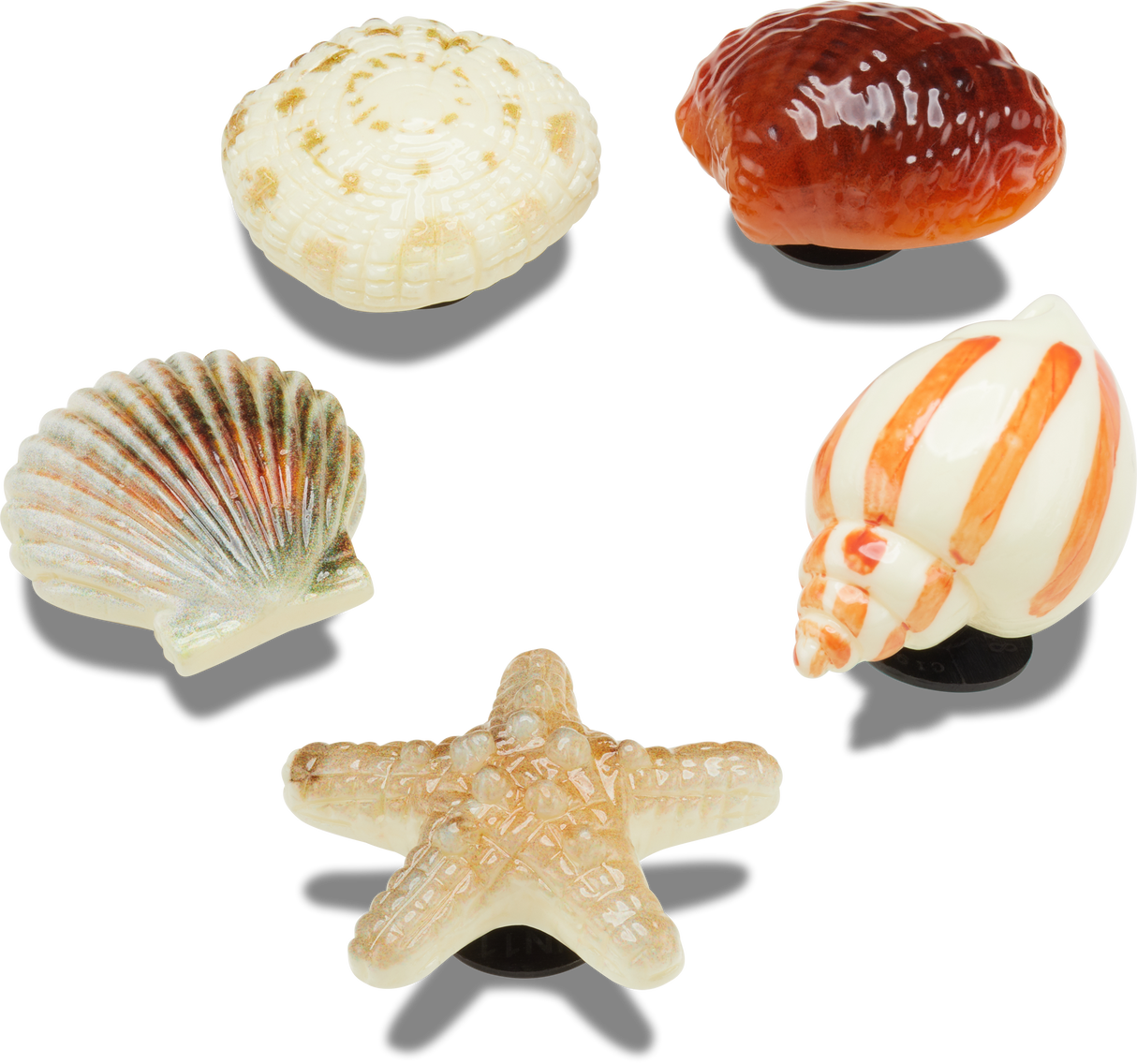 JIBBITZ She Sells Seashells 5 Pack
