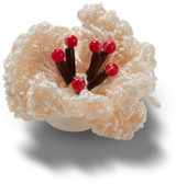 JIBBITZ White Crochet Floral