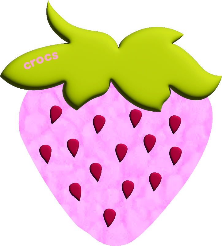 Jibbitz_custom