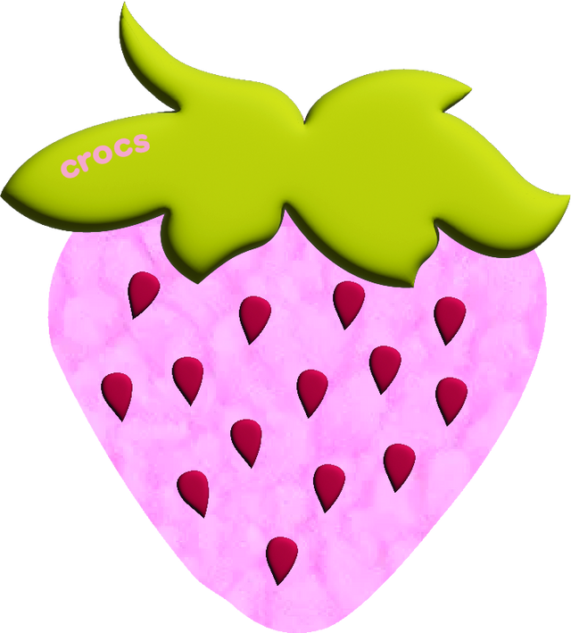 Jibbitz_custom