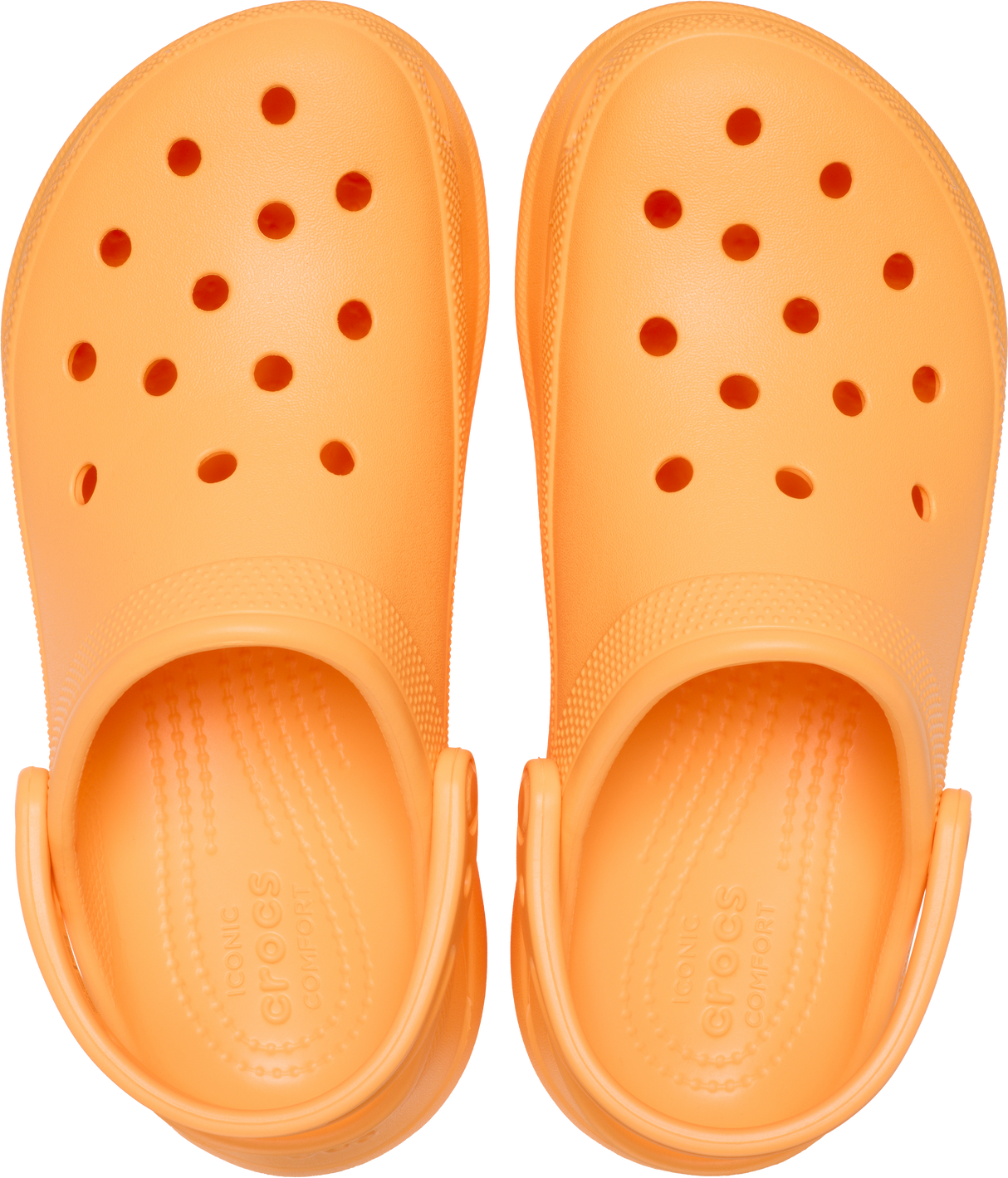 WOMEN Classic Bae Clog