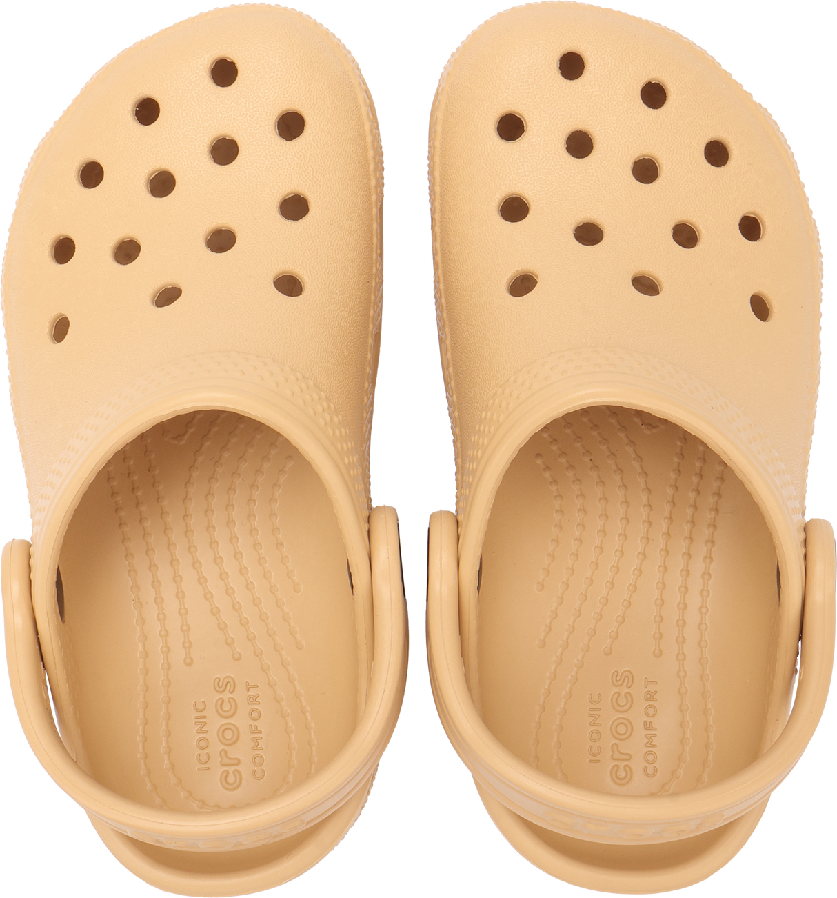 TODDLERS CLASSIC CLOG